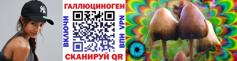 Купить где Боготол Псилоцибиновые грибы Cubensis